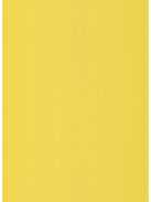 Asztallap 1485 Crome yellow extra kopásálló fényes 3600x900x38 mm-es