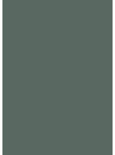 Asztallap I-2670 Amazonas green Fenix nanotech matt 38 mm-es