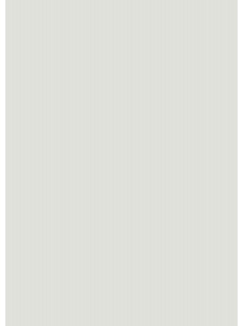 Kompakt I-2395 Light grey space nanotech matt 1400x12 mm-es