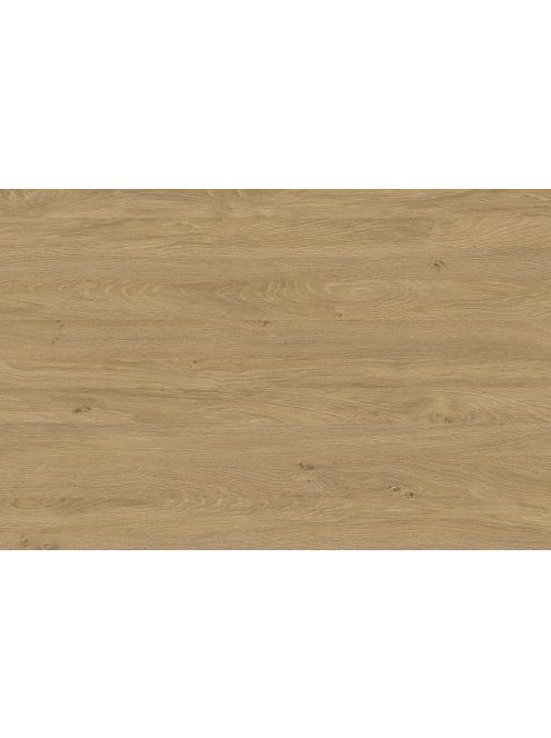 Falburkoló 5527 Paleo tölgy fp matt 4100x640x10 mm-es